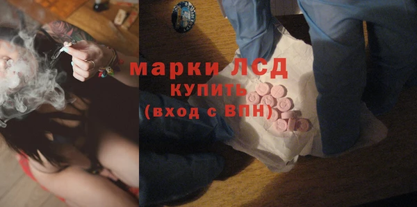 стаф Верея