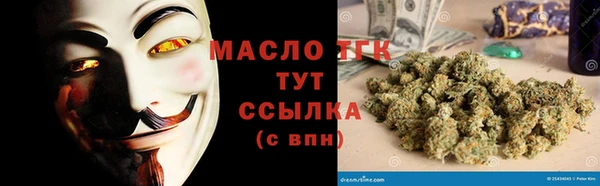 стаф Верея