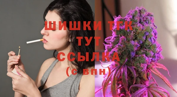 стаф Верея