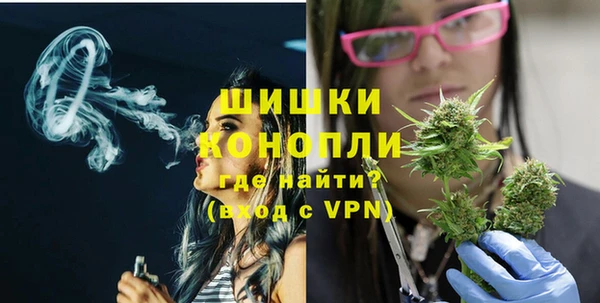 стаф Верея