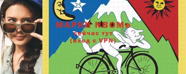 стаф Верея