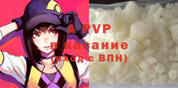 стаф Верея