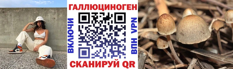 Галлюциногенные грибы мухоморы  Нытва 